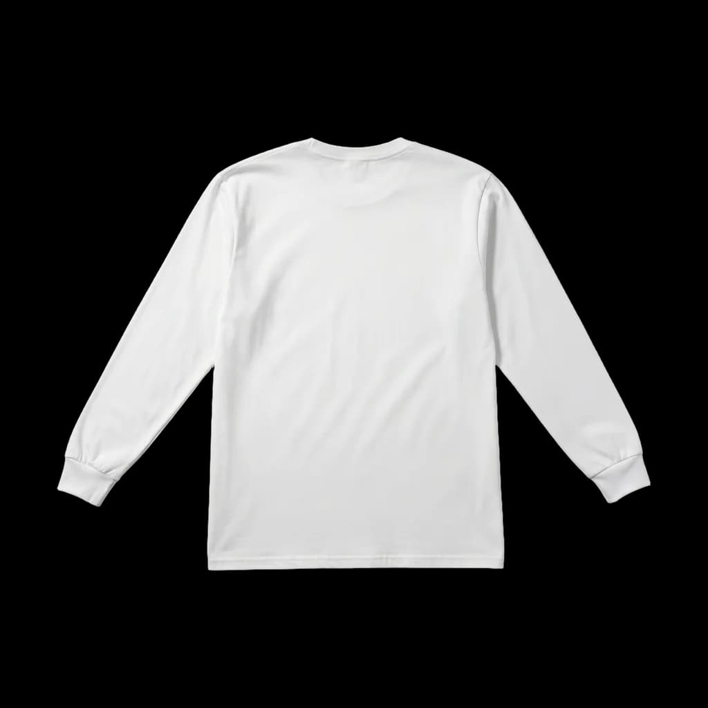 Blank longsleeve t-shirt, back view