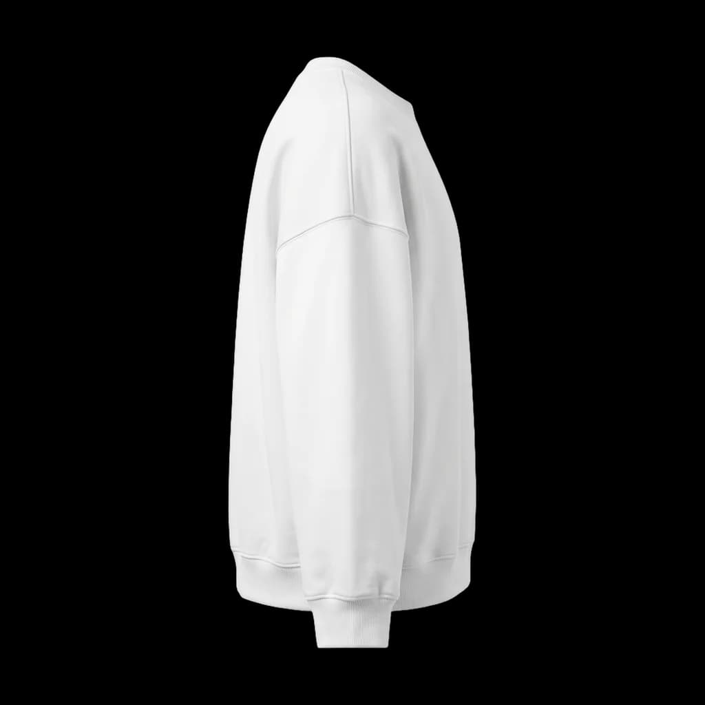 Blank oversized sweatshirt, left side view