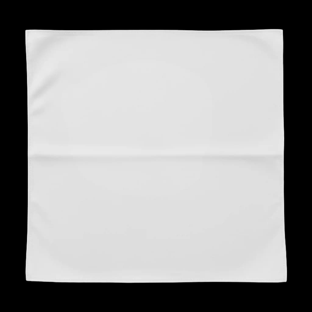 Blank bandana, back view